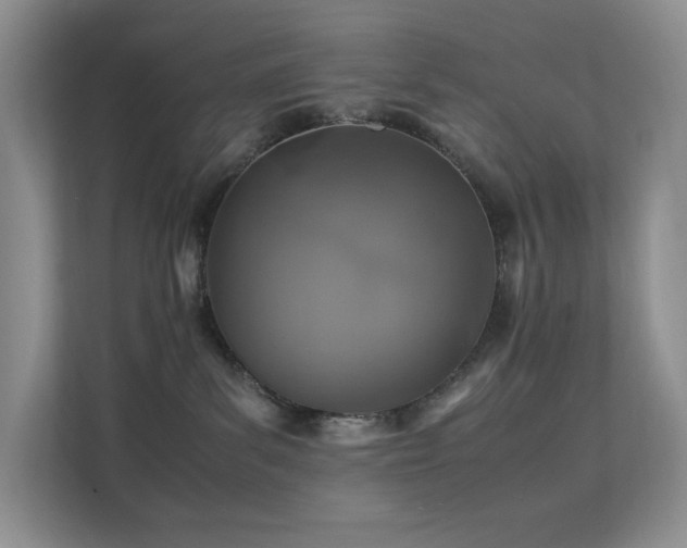 X0000112170139200908071206