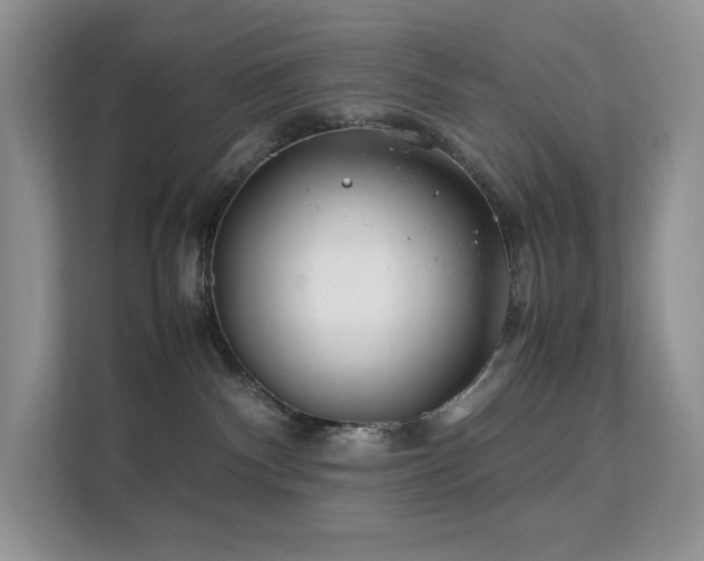 X0000112170140200908071206