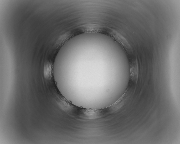 X0000112170142200908071206