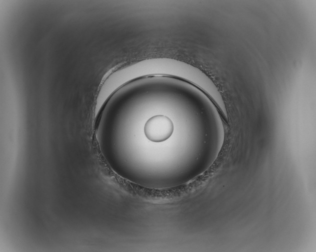 X0000112170144200908071206