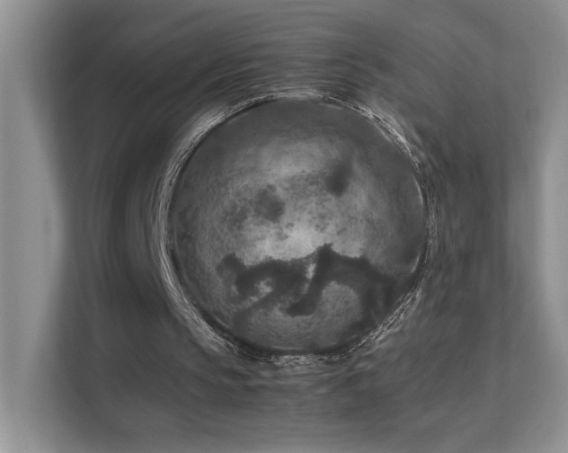 X0000112170145200908071205