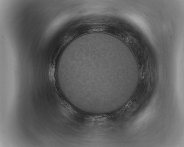 X0000112170146200908071205