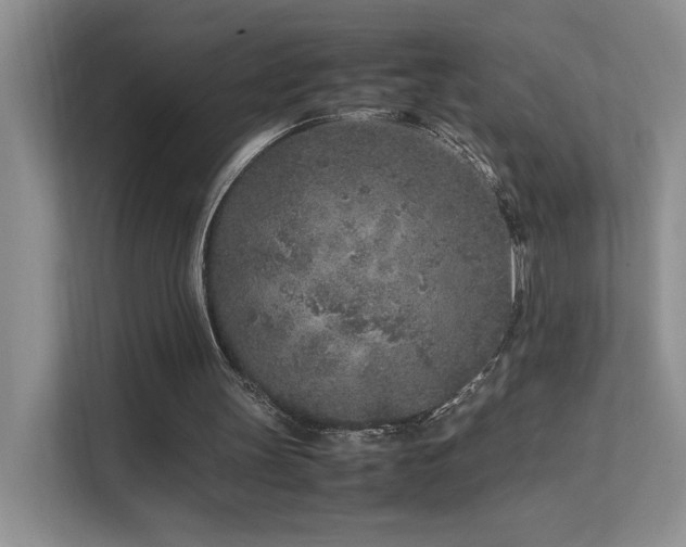 X0000112170147200908071205