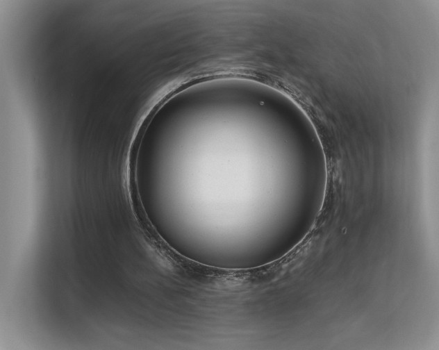 X0000112170148200908071205