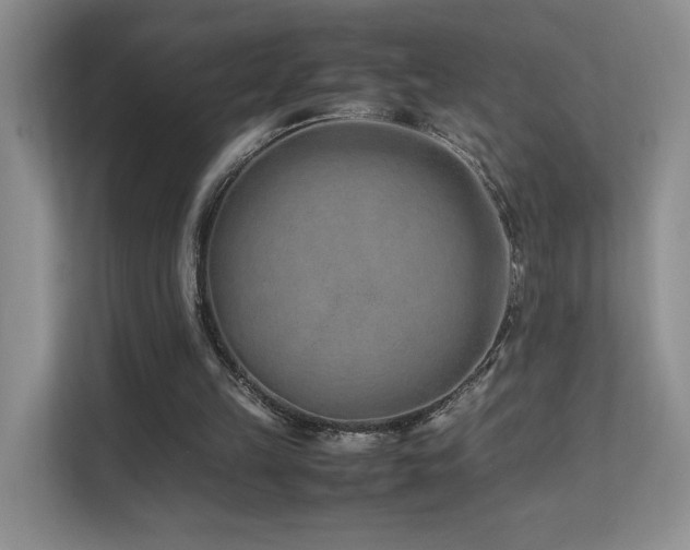 X0000112170149200908071205