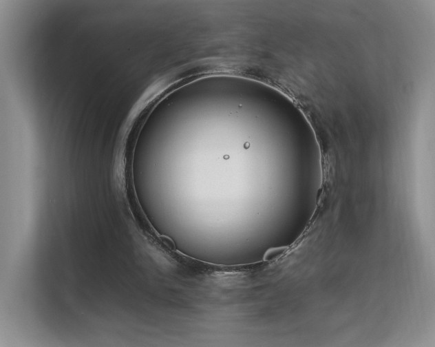 X0000112170150200908071205