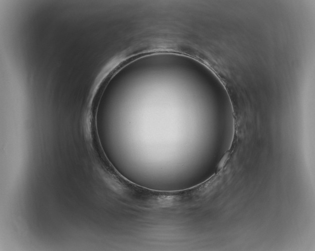 X0000112170152200908071205