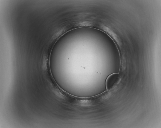 X0000112170153200908071205