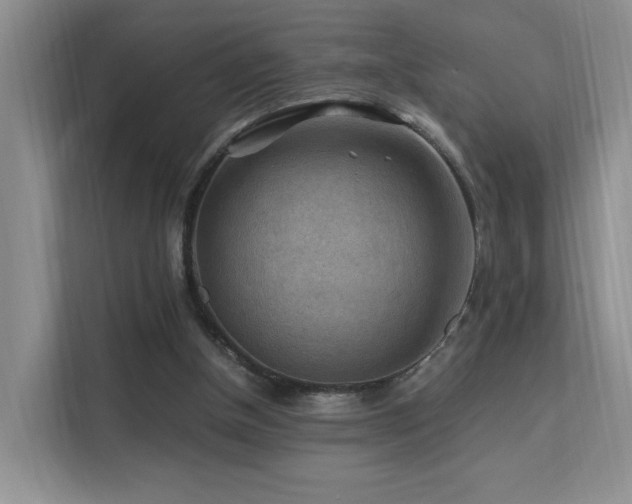 X0000112170154200908071205