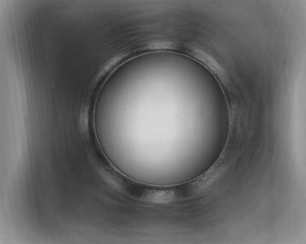 X0000112170155200908071205