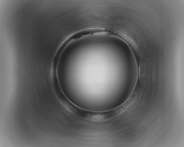 X0000112170156200908071206