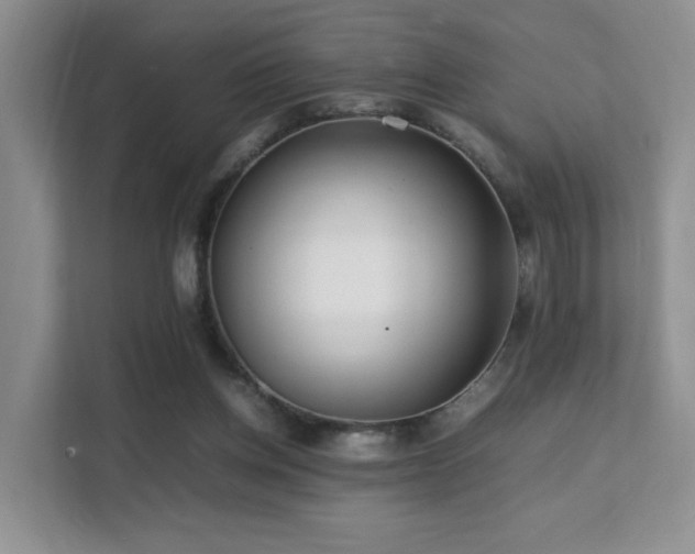 X0000112170158200908071206