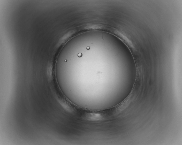 X0000112170159200908071206