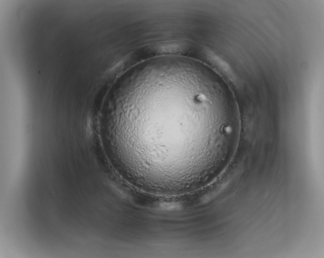 X0000112170161200908071206