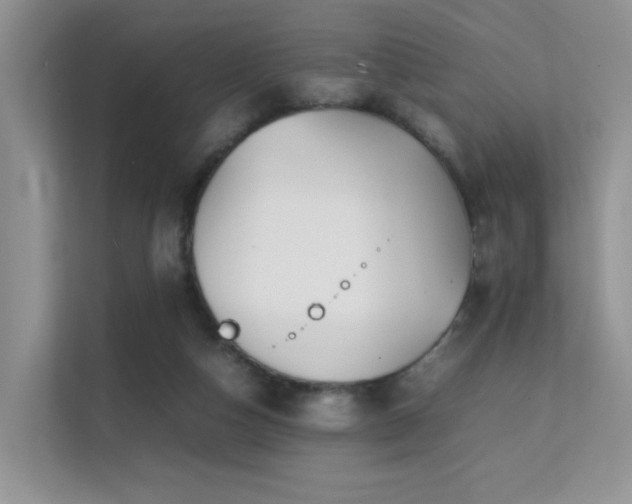 X0000112170162200908071206