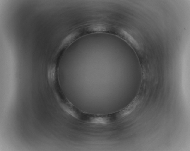 X0000112170163200908071206