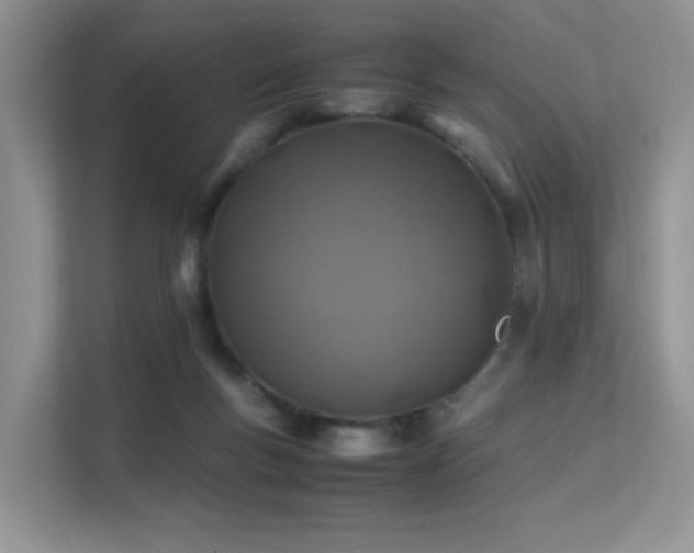 X0000112170167200908071206