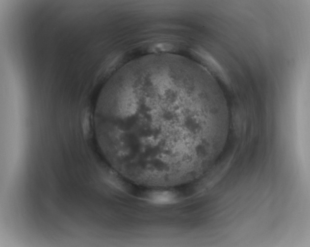 X0000112170169200908071206