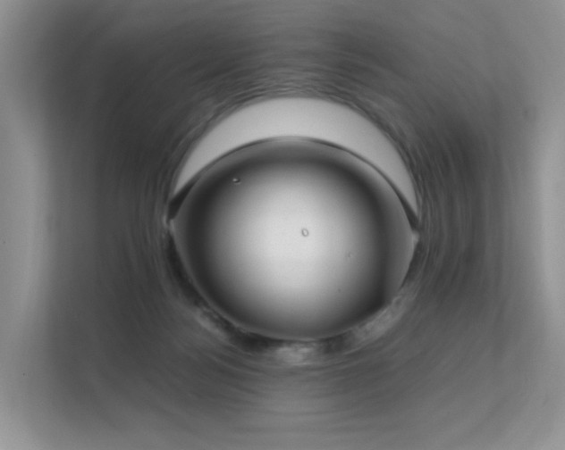 X0000112170172200908071206