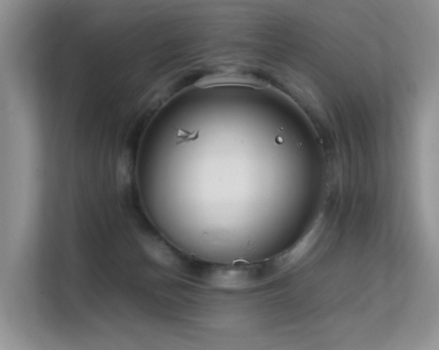 X0000112170174200908071206