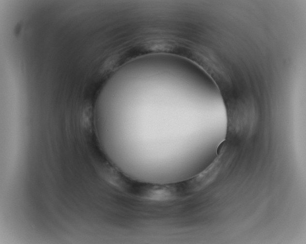 X0000112170175200908071206