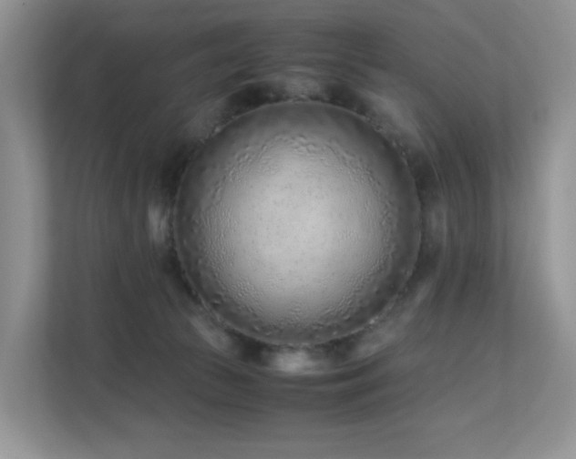 X0000112170177200908071206