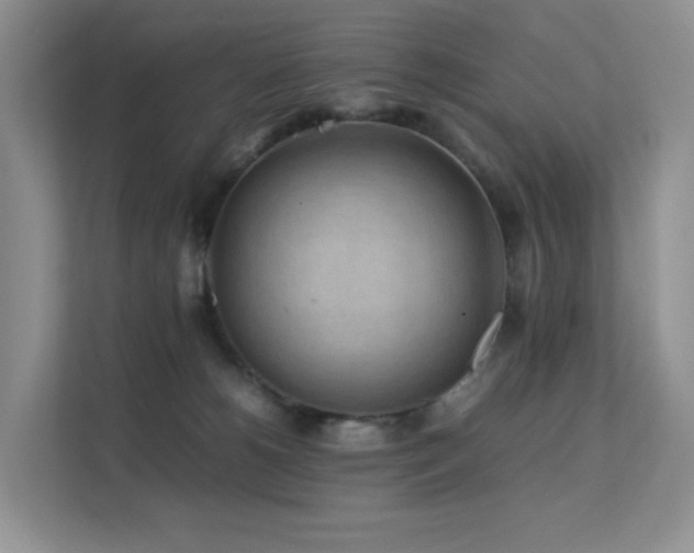 X0000112170180200908071206