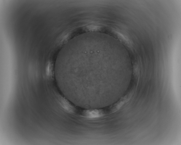 X0000112170181200908071206