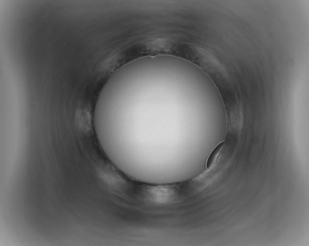 X0000112170183200908071206