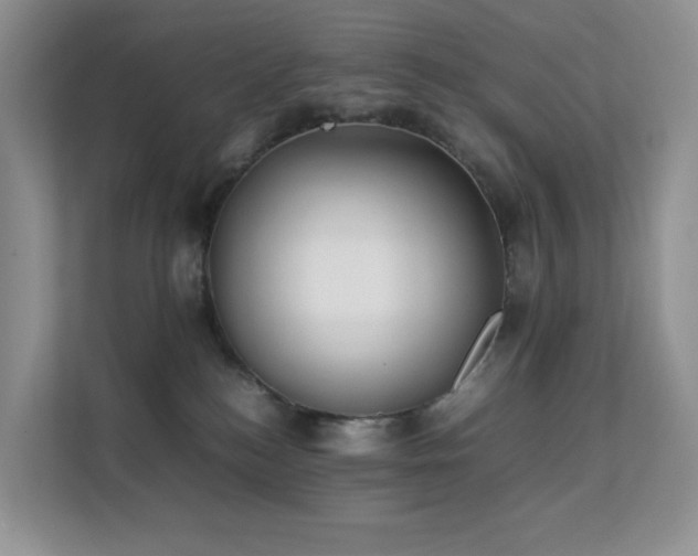 X0000112170184200908071206