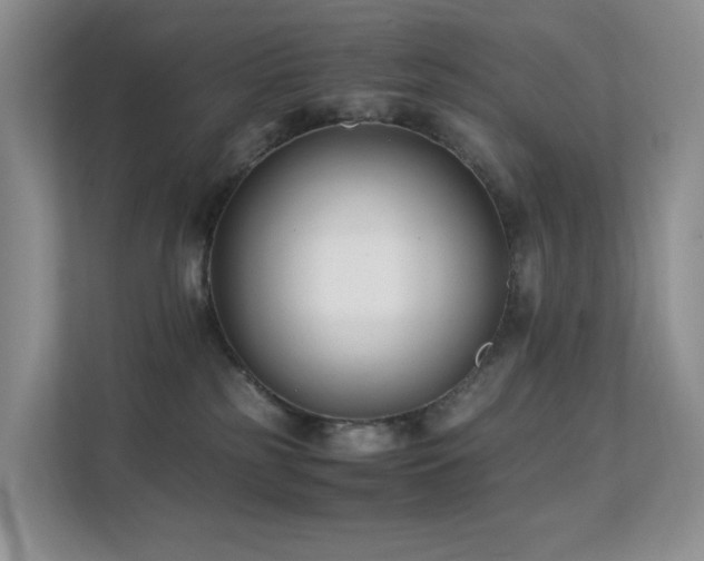 X0000112170185200908071206