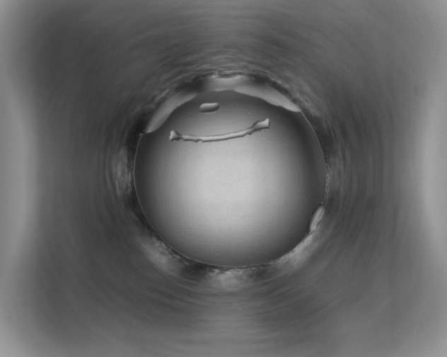 X0000112170186200908071206