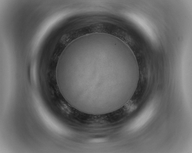 X0000112170189200908071206