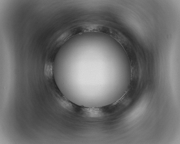 X0000112170191200908071206