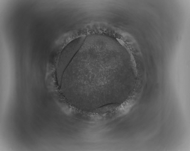 X0000112170192200908071206