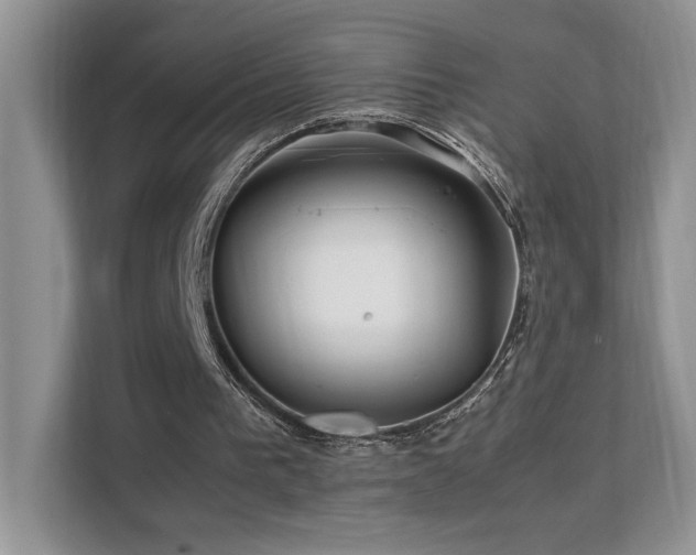 X0000112170193200908071205