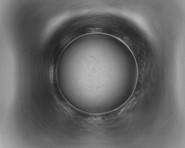 X0000112170194200908071205