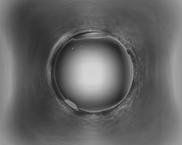 X0000112170197200908071205