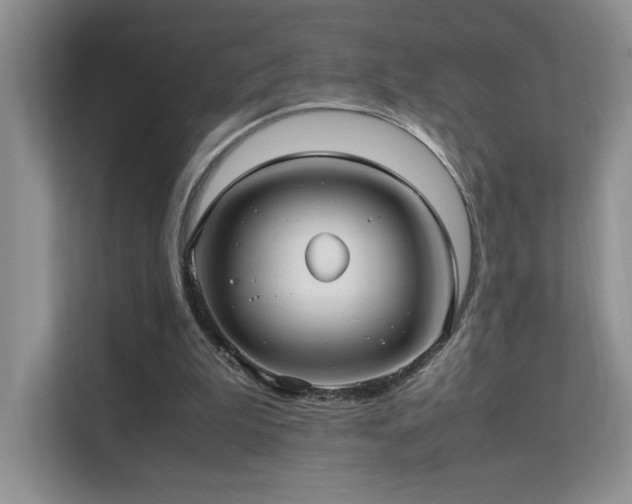 X0000112170199200908071205