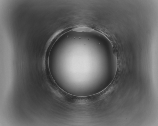 X0000112170200200908071205