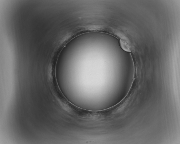 X0000112170201200908071205