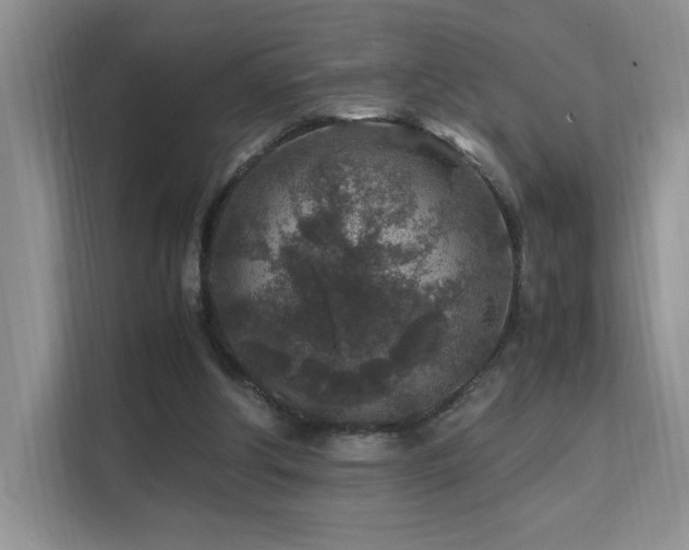 X0000112170202200908071205