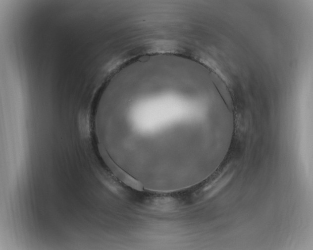 X0000112170203200908071205