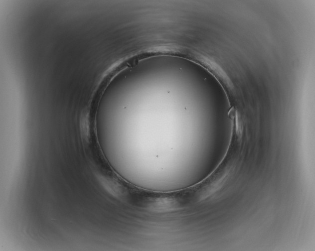 X0000112170204200908071205