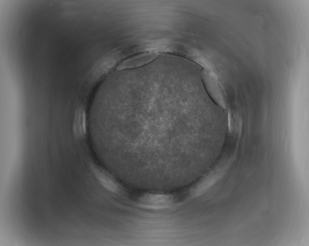 X0000112170205200908071205