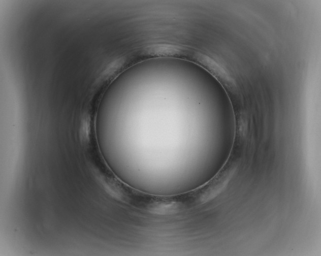 X0000112170206200908071205