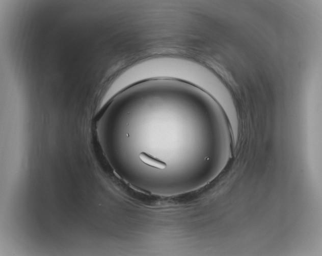 X0000112170207200908071205