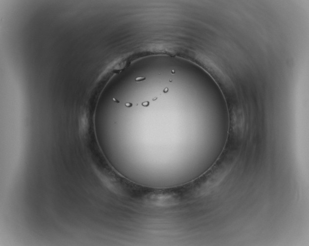 X0000112170208200908071205