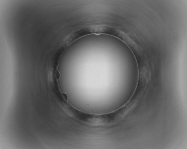 X0000112170209200908071205