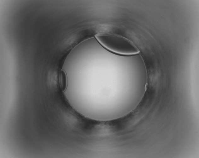 X0000112170211200908071205